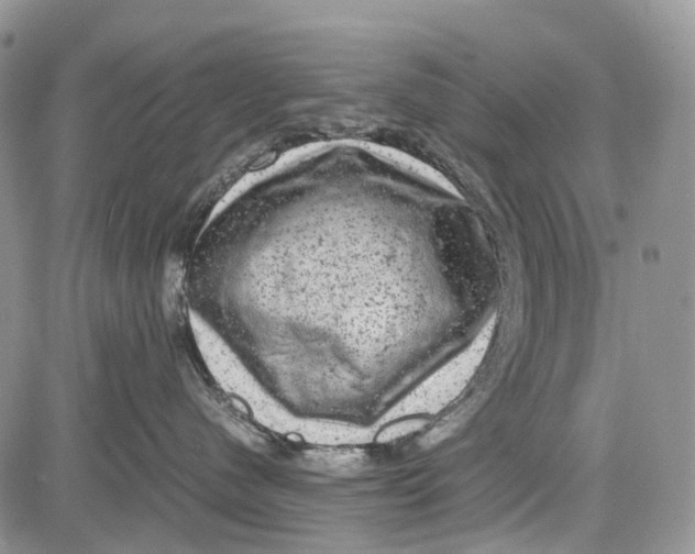 X0000081570480200702051219