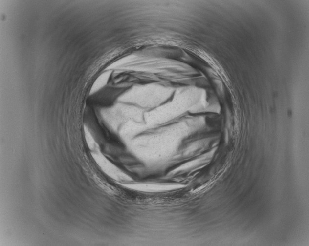 X0000081570481200702051218