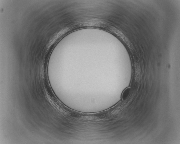 X0000081570482200702051218