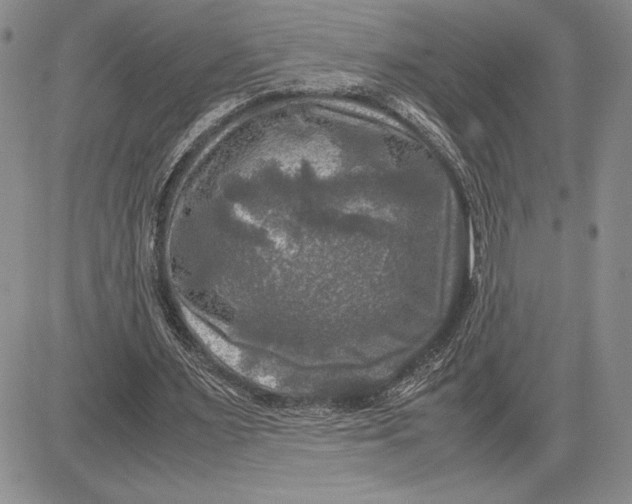 X0000081570483200702051218