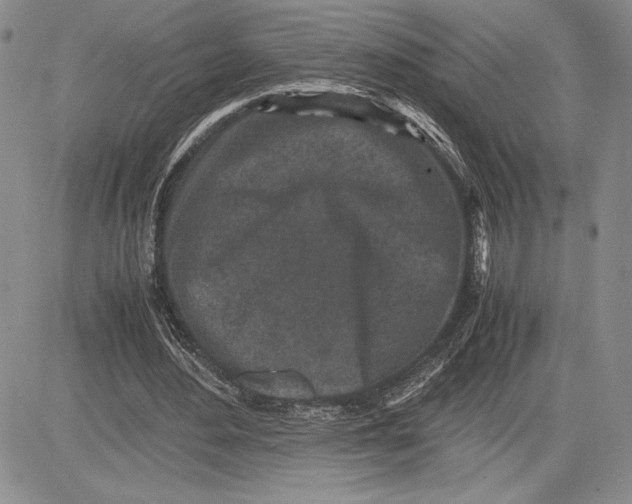 X0000081570484200702051218