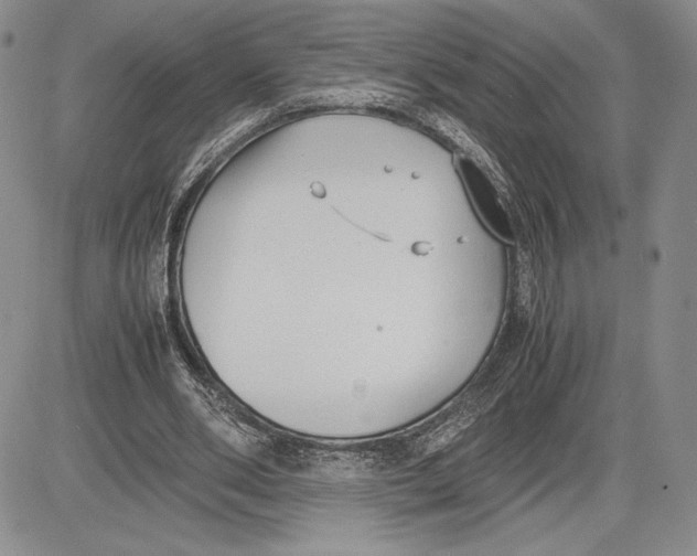 X0000081570486200702051218