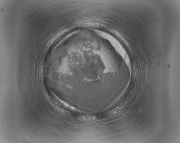 X0000081570487200702051218