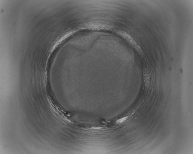 X0000081570488200702051218