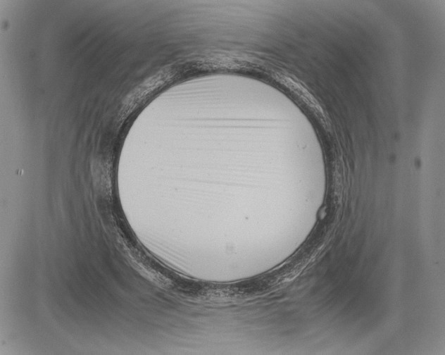 X0000081570489200702051218