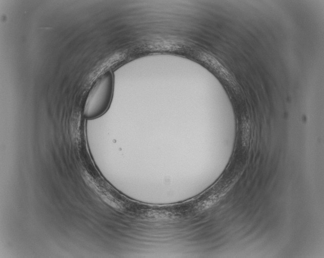 X0000081570490200702051218