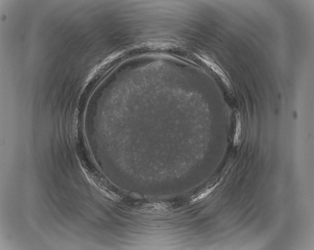 X0000081570492200702051218