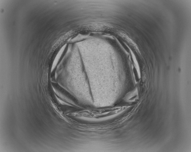 X0000081570493200702051218