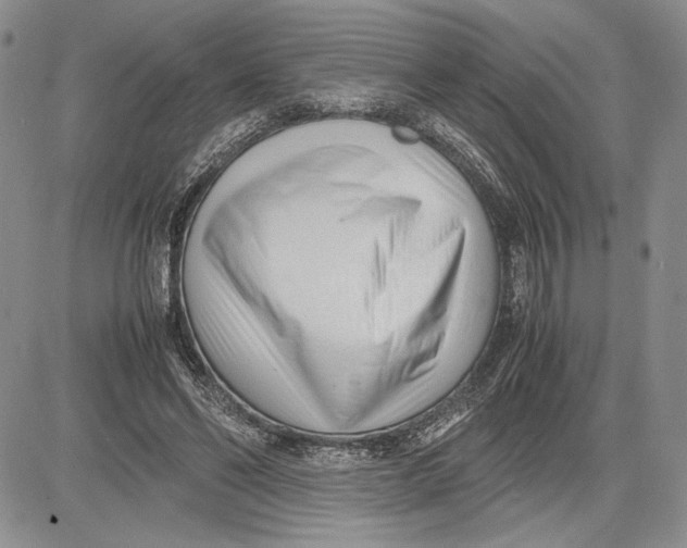 X0000081570494200702051218