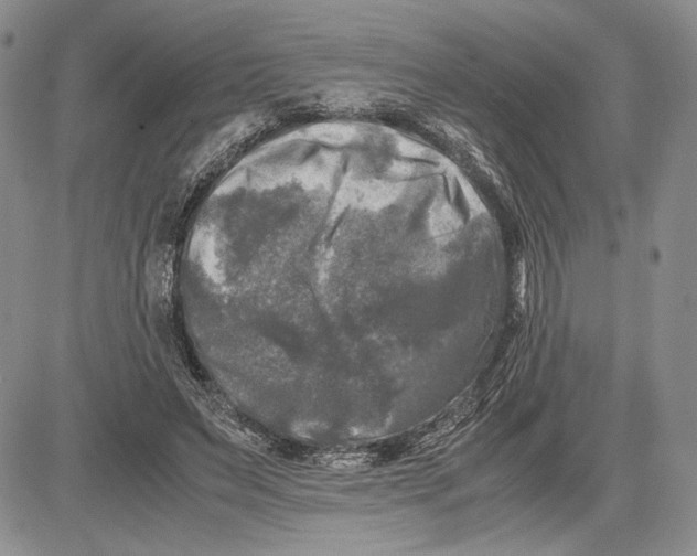 X0000081570495200702051218