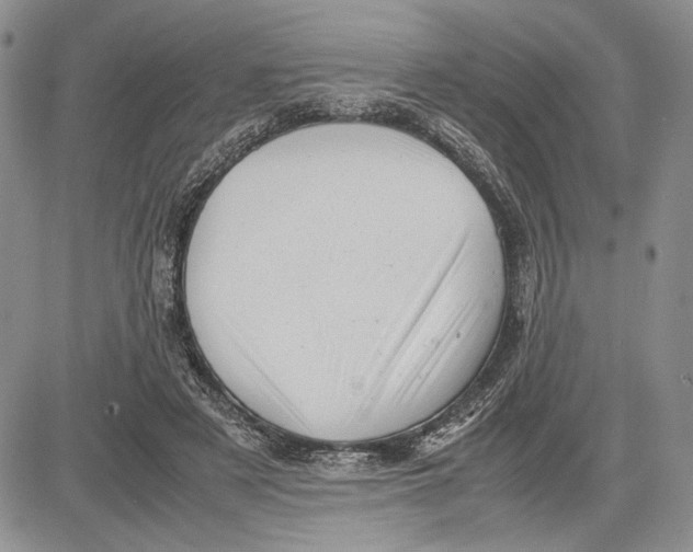 X0000081570497200702051218