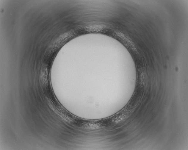 X0000081570498200702051218