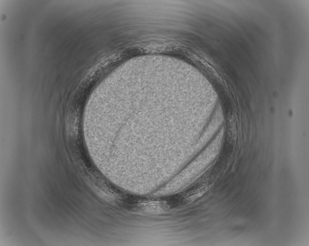 X0000081570499200702051218