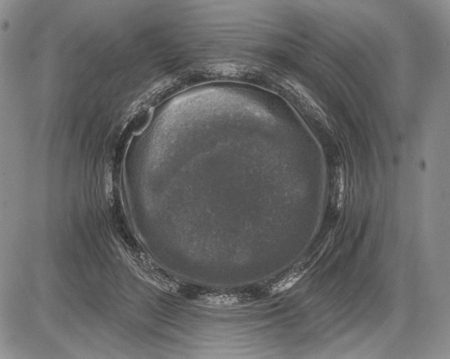 X0000081570500200702051218