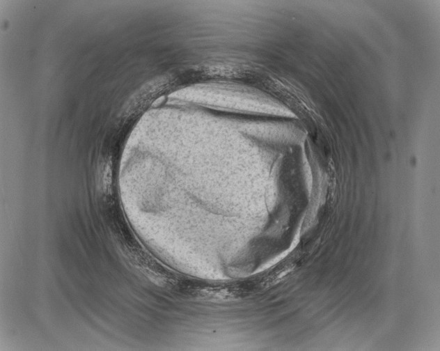 X0000081570502200702051218