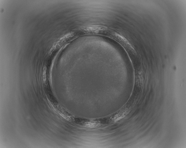 X0000081570504200702051218