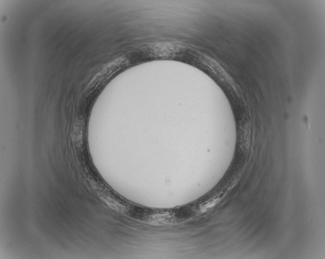 X0000081570505200702051217