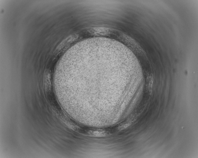 X0000081570506200702051217