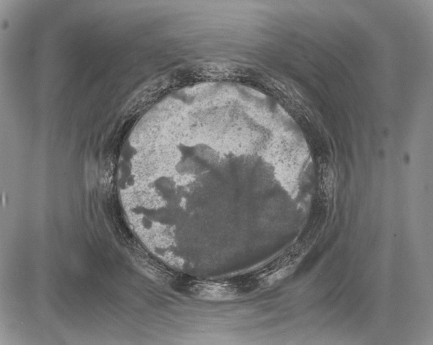 X0000081570507200702051217