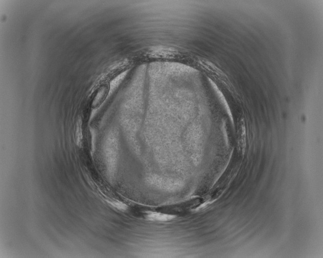 X0000081570508200702051217