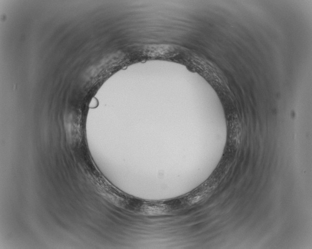 X0000081570510200702051217