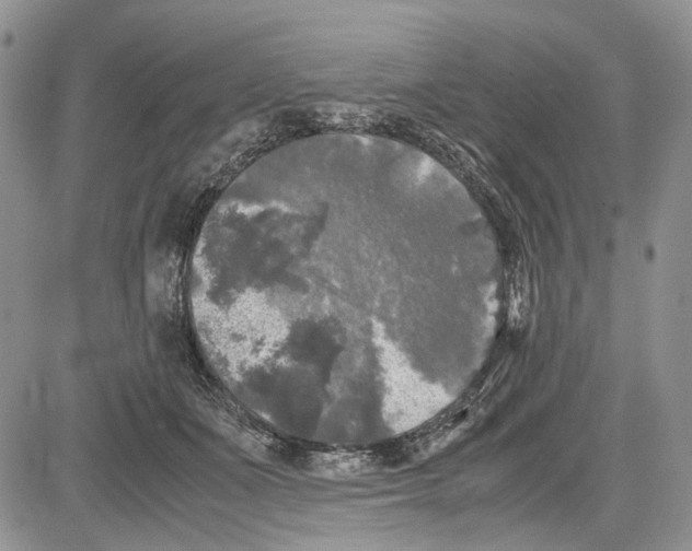 X0000081570511200702051217