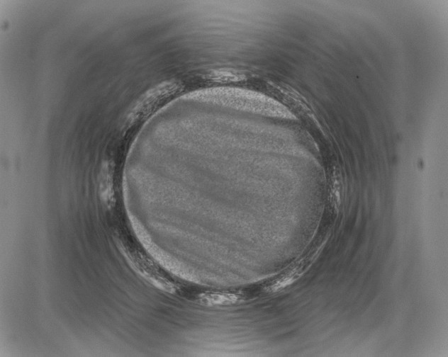 X0000081570512200702051217