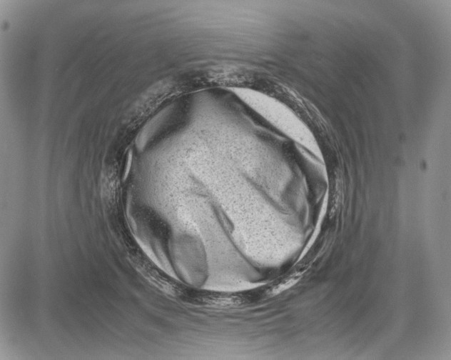 X0000081570513200702051217