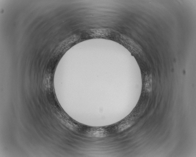 X0000081570514200702051217