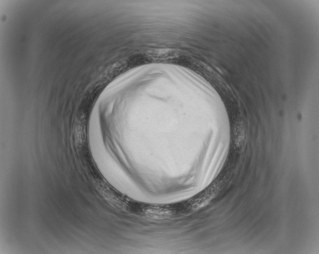 X0000081570515200702051217