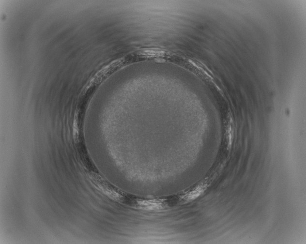 X0000081570516200702051217