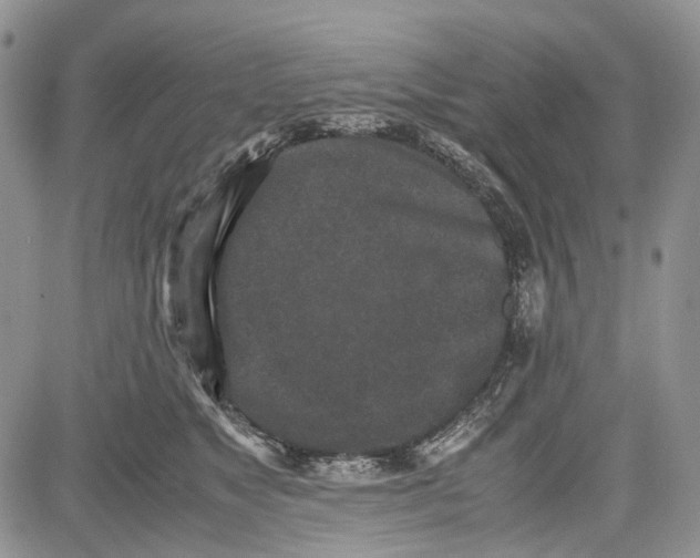 X0000081570517200702051217