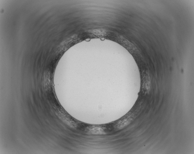 X0000081570518200702051217