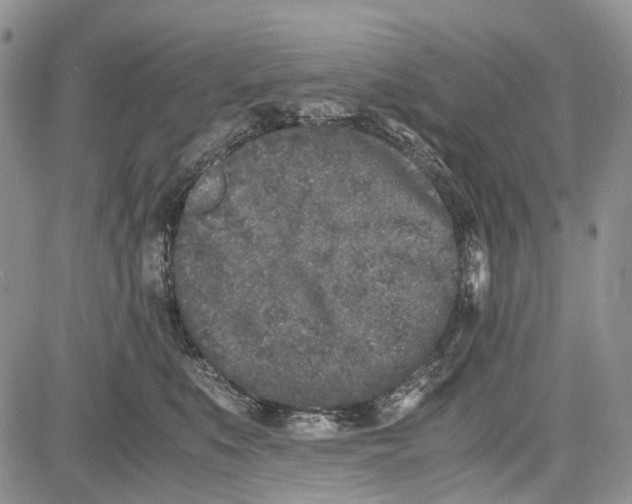 X0000081570519200702051217