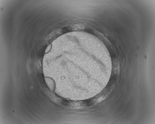 X0000081570523200702051217