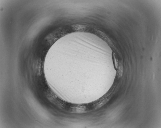 X0000081570525200702051217