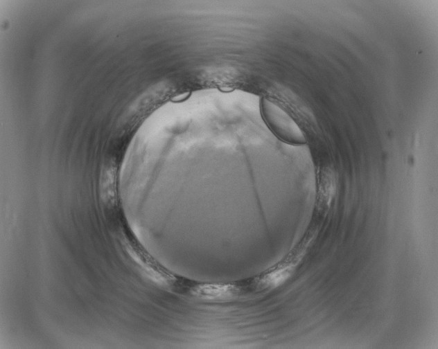 X0000081570526200702051217