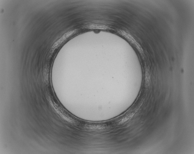 X0000081570533200702051216