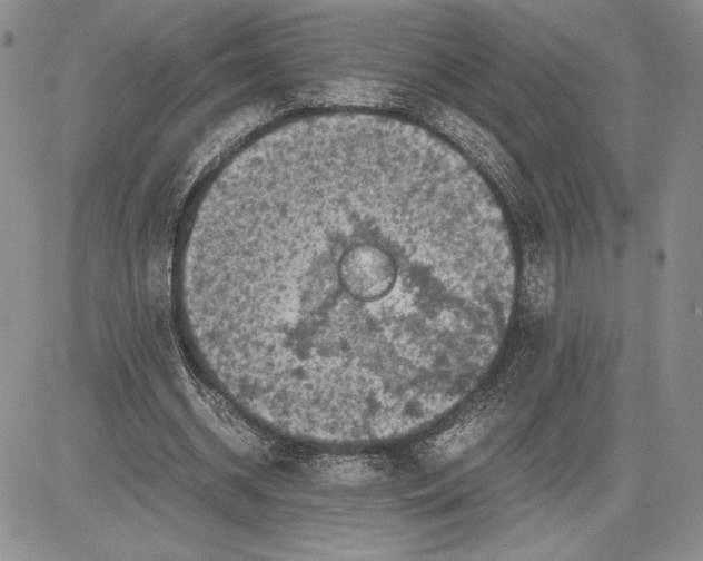 X0000081570534200702051216