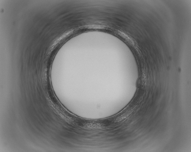 X0000081570535200702051216