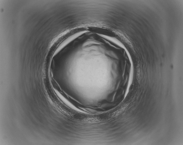 X0000081570536200702051216