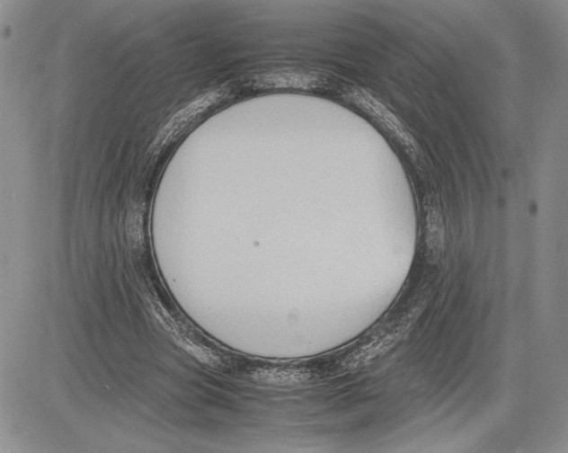 X0000081570537200702051216