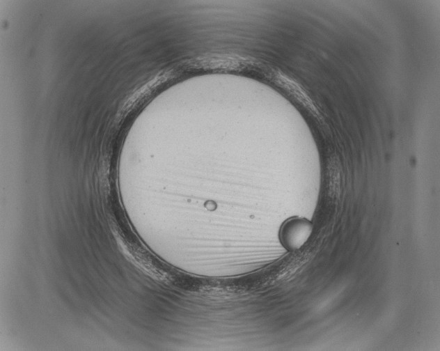 X0000081570538200702051216