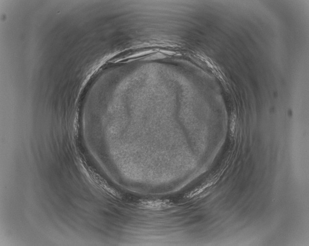 X0000081570540200702051217