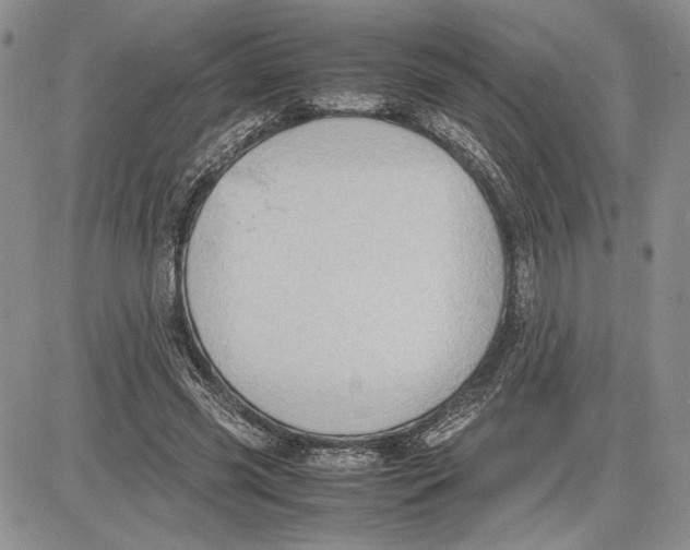 X0000081570541200702051217