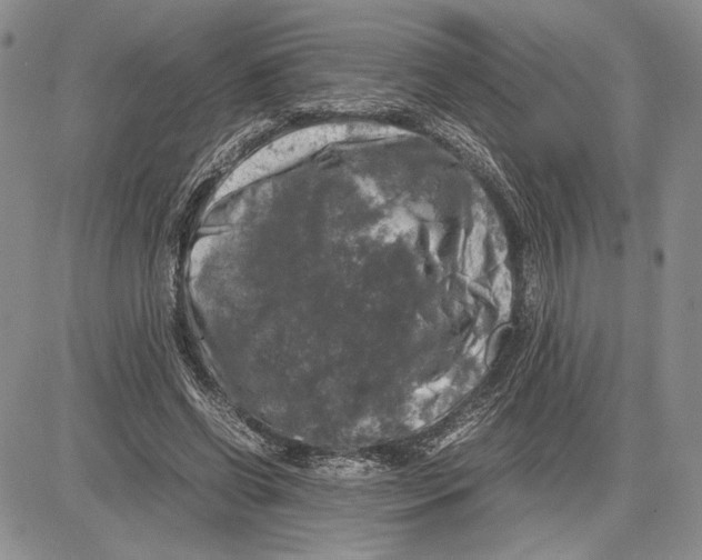 X0000081570542200702051217