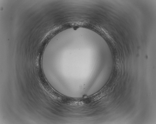 X0000081570543200702051217