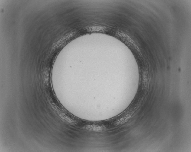 X0000081570545200702051217