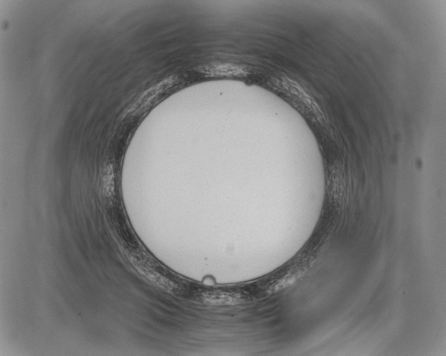 X0000081570549200702051217