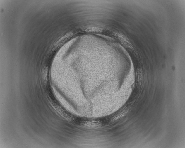 X0000081570550200702051217